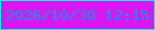 文字の大きさ：2、枠の色：04feee、背景の色：d817f2、文字の色：1197e2 無料ブログパーツのブログ時計