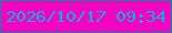文字の大きさ：4、枠の色：058d9e、背景の色：f404c0、文字の色：05b1e6 無料ブログパーツのブログ時計