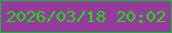 文字の大きさ：2、枠の色：10bc37、背景の色：963a9b、文字の色：12e509 無料ブログパーツのブログ時計