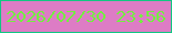 文字の大きさ：3、枠の色：11c782、背景の色：dd7cc5、文字の色：73ee41 無料ブログパーツのブログ時計