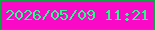 文字の大きさ：1、枠の色：12a446、背景の色：fa09c7、文字の色：2ef98c 無料ブログパーツのブログ時計