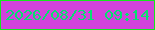 文字の大きさ：4、枠の色：14e81c、背景の色：d143db、文字の色：05e070 無料ブログパーツのブログ時計