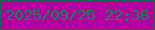 文字の大きさ：4、枠の色：156751、背景の色：b401a2、文字の色：00914a 無料ブログパーツのブログ時計