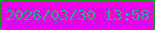 文字の大きさ：4、枠の色：198f31、背景の色：e902dd、文字の色：32a68a 無料ブログパーツのブログ時計