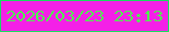 文字の大きさ：3、枠の色：19dc60、背景の色：f420e7、文字の色：51ee50 無料ブログパーツのブログ時計
