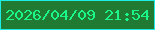 文字の大きさ：2、枠の色：1cede8、背景の色：207a32、文字の色：1bf78b 無料ブログパーツのブログ時計