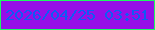 文字の大きさ：4、枠の色：1cf861、背景の色：960fe7、文字の色：0e5bf5 無料ブログパーツのブログ時計