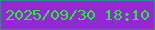 文字の大きさ：4、枠の色：1e9385、背景の色：9229d3、文字の色：23f031 無料ブログパーツのブログ時計