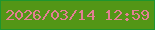 文字の大きさ：4、枠の色：1e962e、背景の色：539616、文字の色：e27f93 無料ブログパーツのブログ時計