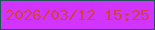 文字の大きさ：4、枠の色：205456、背景の色：d234ff、文字の色：d23e46 無料ブログパーツのブログ時計
