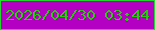 文字の大きさ：2、枠の色：25d530、背景の色：b300c2、文字の色：22ce08 無料ブログパーツのブログ時計