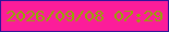 文字の大きさ：2、枠の色：2e159a、背景の色：fc1d9a、文字の色：93a802 無料ブログパーツのブログ時計