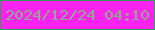 文字の大きさ：5、枠の色：319c52、背景の色：fa23ef、文字の色：92a98d 無料ブログパーツのブログ時計