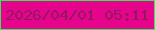 文字の大きさ：5、枠の色：33ea58、背景の色：e6048c、文字の色：941762 無料ブログパーツのブログ時計
