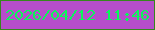 文字の大きさ：2、枠の色：36871e、背景の色：b64dcb、文字の色：0af65a 無料ブログパーツのブログ時計