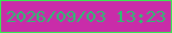 文字の大きさ：4、枠の色：36eb50、背景の色：c92ca9、文字の色：2cbe71 無料ブログパーツのブログ時計