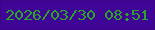 文字の大きさ：4、枠の色：3c0487、背景の色：3e0597、文字の色：2da328 無料ブログパーツのブログ時計