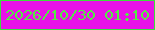 文字の大きさ：4、枠の色：3cdf3b、背景の色：e812e7、文字の色：53ed43 無料ブログパーツのブログ時計