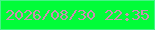 文字の大きさ：3、枠の色：47f287、背景の色：01fd38、文字の色：cb8eb1 無料ブログパーツのブログ時計