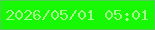 文字の大きさ：1、枠の色：51ce52、背景の色：17f804、文字の色：a2ff87 無料ブログパーツのブログ時計