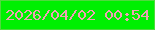 文字の大きさ：5、枠の色：51d93e、背景の色：00f001、文字の色：eea2b4 無料ブログパーツのブログ時計