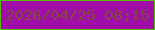 文字の大きさ：2、枠の色：57bb01、背景の色：a00da8、文字の色：804a3d 無料ブログパーツのブログ時計