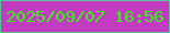 文字の大きさ：5、枠の色：5cc297、背景の色：c23cc2、文字の色：39f311 無料ブログパーツのブログ時計
