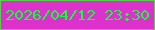 文字の大きさ：4、枠の色：5dca53、背景の色：dd31cb、文字の色：11fe38 無料ブログパーツのブログ時計