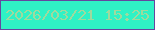 文字の大きさ：1、枠の色：65479f、背景の色：2ff2c5、文字の色：9fda9e 無料ブログパーツのブログ時計