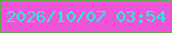文字の大きさ：2、枠の色：67a453、背景の色：ee54d8、文字の色：1bf5de 無料ブログパーツのブログ時計