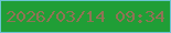 文字の大きさ：1、枠の色：6ac4d2、背景の色：209e36、文字の色：917355 無料ブログパーツのブログ時計