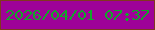 文字の大きさ：1、枠の色：80381f、背景の色：9e0298、文字の色：10a729 無料ブログパーツのブログ時計