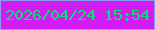文字の大きさ：2、枠の色：8c9af4、背景の色：d21cf4、文字の色：0edf71 無料ブログパーツのブログ時計