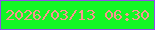 文字の大きさ：4、枠の色：904deb、背景の色：13f725、文字の色：f8958f 無料ブログパーツのブログ時計