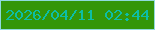 文字の大きさ：5、枠の色：90dadd、背景の色：339608、文字の色：0dbea5 無料ブログパーツのブログ時計