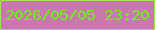 文字の大きさ：2、枠の色：92f13c、背景の色：ca77ae、文字の色：60ff03 無料ブログパーツのブログ時計