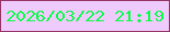 文字の大きさ：5、枠の色：943363、背景の色：efcafd、文字の色：08fe44 無料ブログパーツのブログ時計