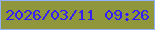 文字の大きさ：4、枠の色：94b1fe、背景の色：90963c、文字の色：331efd 無料ブログパーツのブログ時計