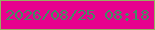 文字の大きさ：4、枠の色：95b160、背景の色：e7028e、文字の色：428c63 無料ブログパーツのブログ時計
