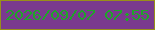 文字の大きさ：2、枠の色：988f19、背景の色：7a3a8e、文字の色：1ea628 無料ブログパーツのブログ時計
