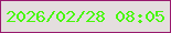 文字の大きさ：5、枠の色：99196d、背景の色：e4dede、文字の色：48f70b 無料ブログパーツのブログ時計