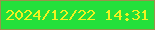 文字の大きさ：1、枠の色：99924b、背景の色：24e03b、文字の色：f1f220 無料ブログパーツのブログ時計