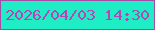 文字の大きさ：1、枠の色：a94aa7、背景の色：1fedc6、文字の色：b646b7 無料ブログパーツのブログ時計