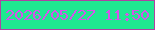 文字の大きさ：1、枠の色：ae43a2、背景の色：1fe990、文字の色：d555e9 無料ブログパーツのブログ時計