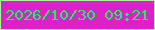 文字の大きさ：4、枠の色：b6ebaa、背景の色：e020c7、文字の色：0bfe56 無料ブログパーツのブログ時計