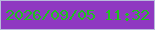 文字の大きさ：4、枠の色：b9badc、背景の色：8f38c1、文字の色：1fc11f 無料ブログパーツのブログ時計