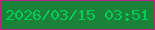 文字の大きさ：1、枠の色：ba2389、背景の色：1b8339、文字の色：05cc5b 無料ブログパーツのブログ時計