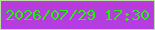 文字の大きさ：4、枠の色：bddfa4、背景の色：b53de0、文字の色：29ed06 無料ブログパーツのブログ時計