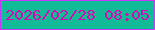 文字の大きさ：5、枠の色：c339fe、背景の色：11bb98、文字の色：d00cb1 無料ブログパーツのブログ時計