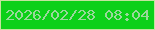 文字の大きさ：2、枠の色：c4e39e、背景の色：0cd019、文字の色：99d89b 無料ブログパーツのブログ時計